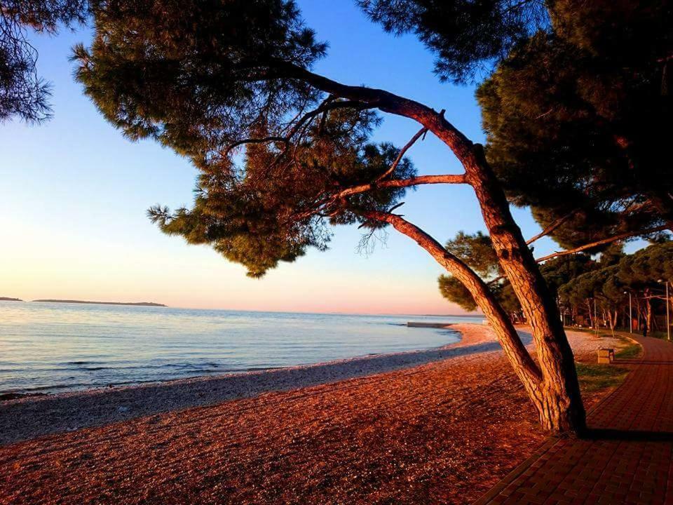 Apartments Dina Πούλα Εξωτερικό φωτογραφία